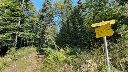 Wanderung von Puch zur Erentrudisalm und Fageralm