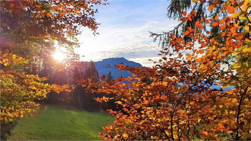 Herbstsonne mit Untersbergblick | ©TVB Puch