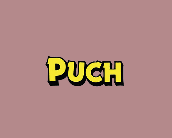 Puch bei Salzburg