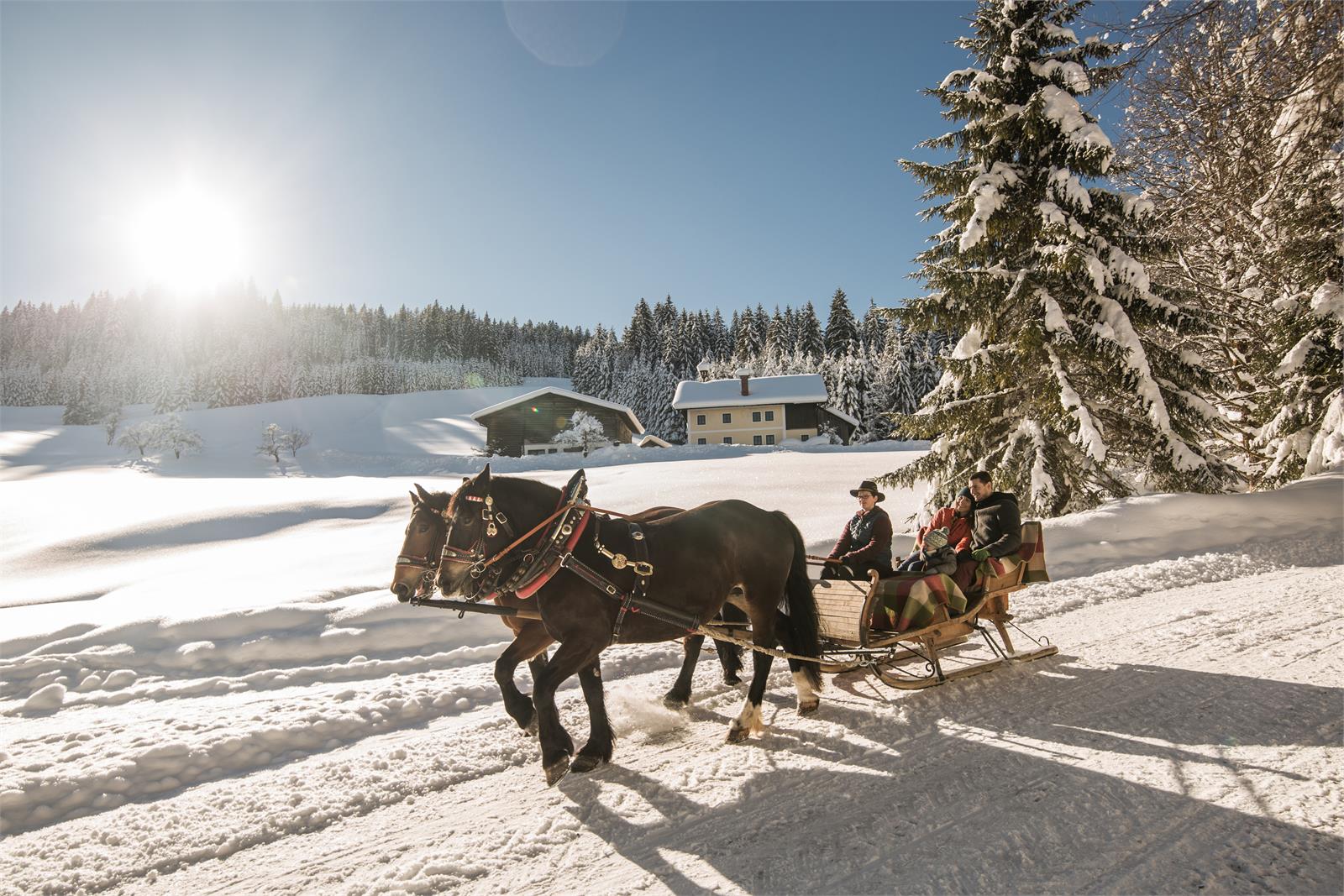 Pferdekutschenfahrt im Salzburger Land | ©SLT - Michael Groessinger