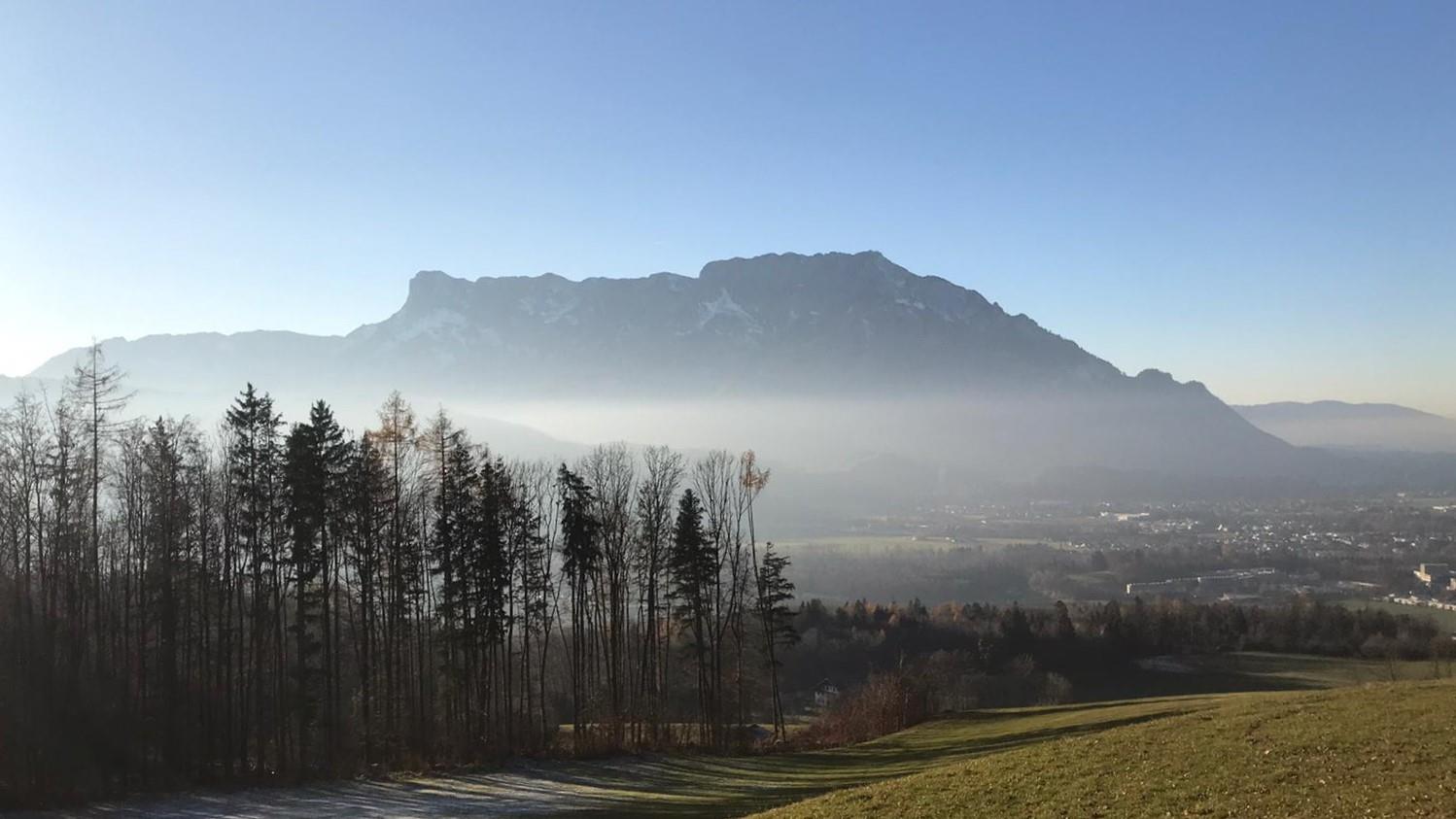 Wandern am Panoramaweg in Puch mit Untersbergblick | ©TVB Puch