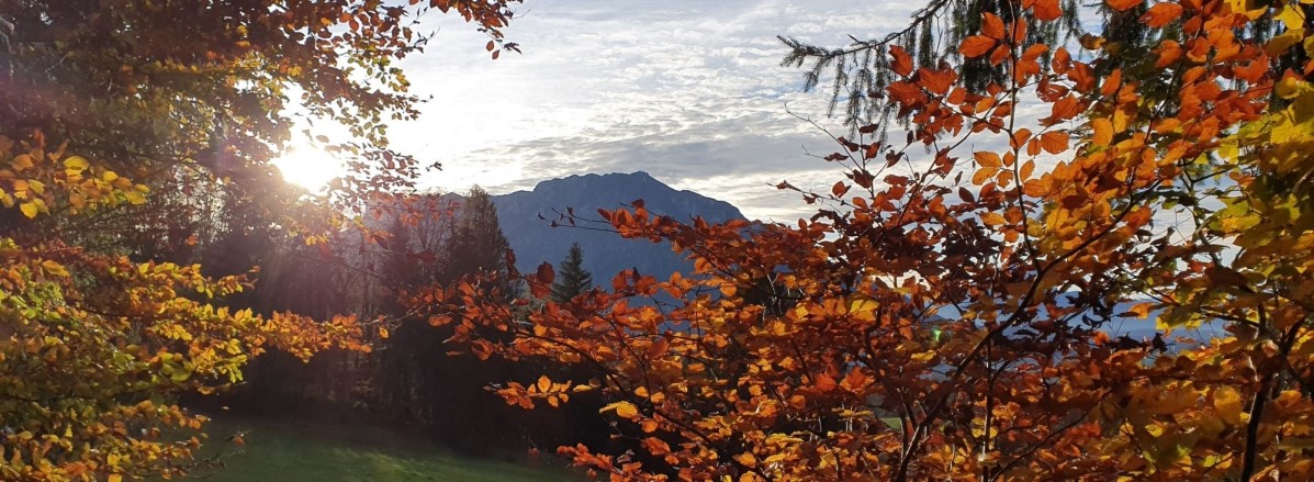 Untersbergblick im Herbs © TVB Puch - Gerber