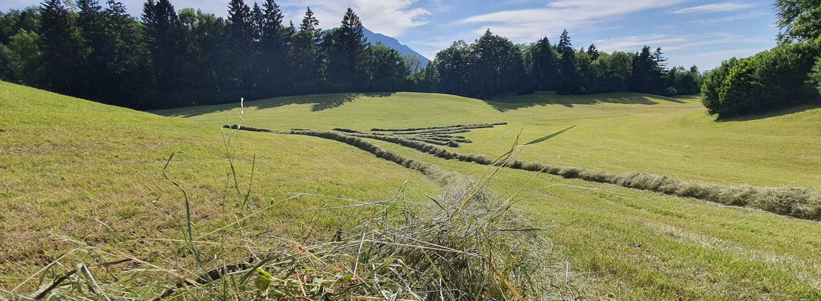 Heuarbeit St. Jakob © TVB Puch - Gerber