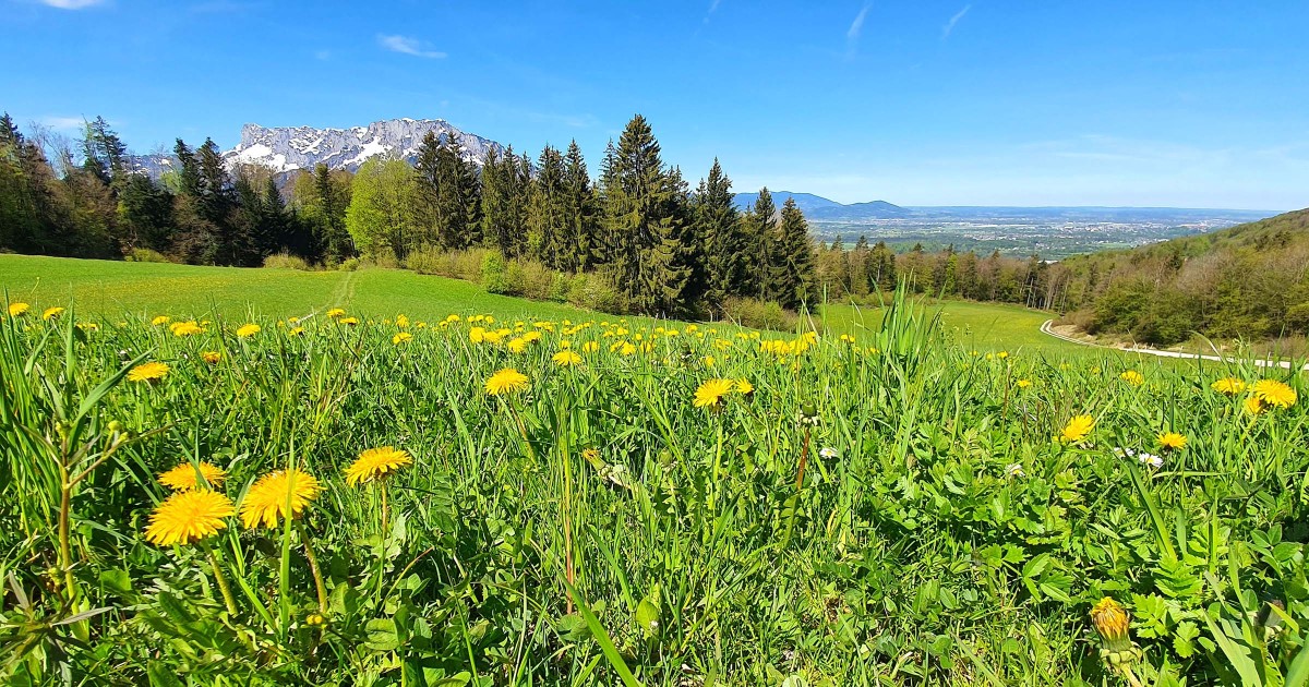 Hochstadl ©TVB Puch – Gerber