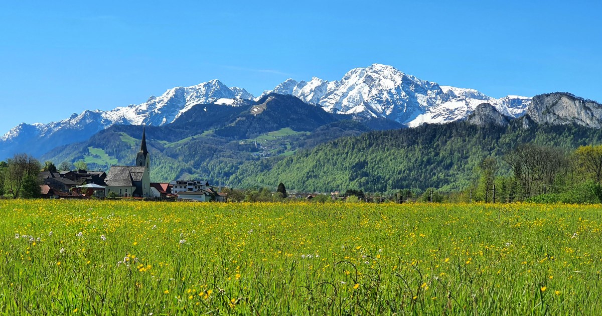 Panorama von Puch ©TVB Puch – Gerber