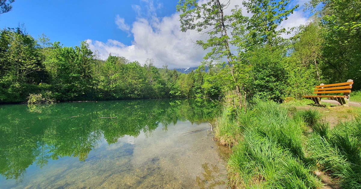 Paradies am Wasser Puch ©TVB Puch – Gerber