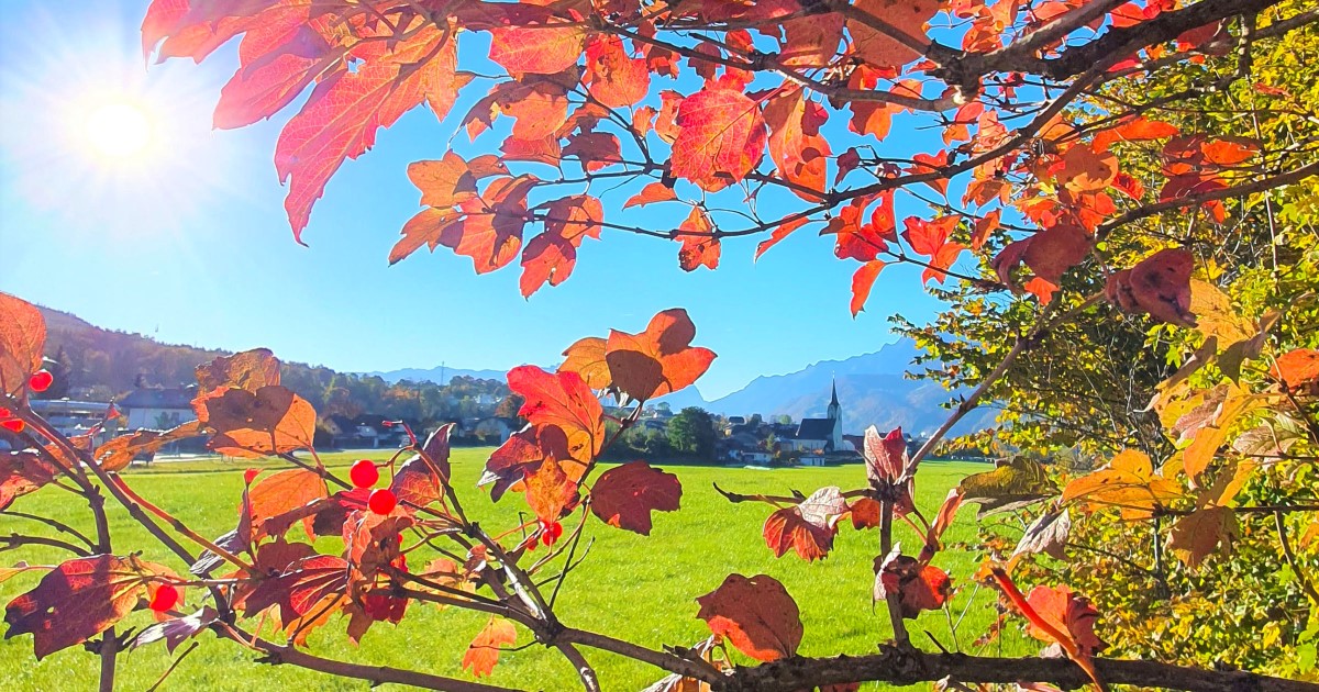 Puch Herbst © TVB Puch - Gerber