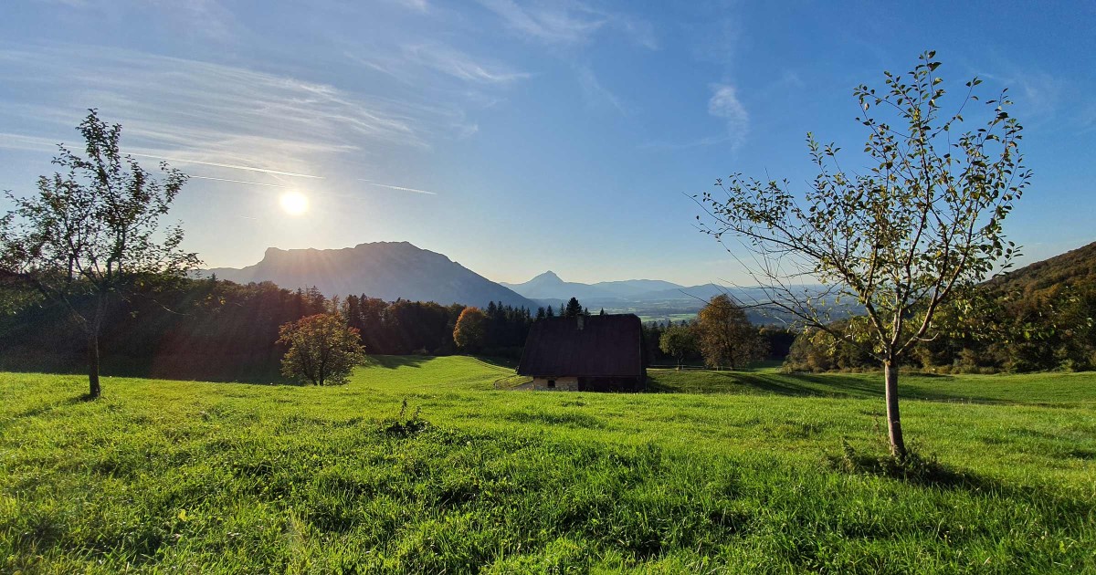 Ausblick von Hochstadl © TVB Puch - Gerber