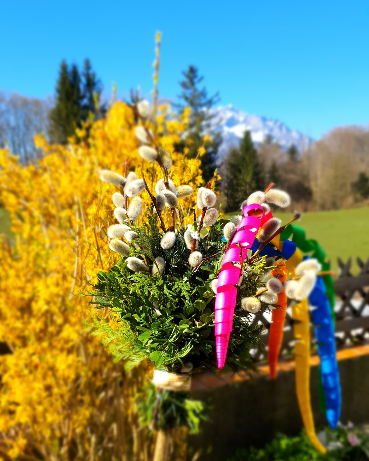 Palmbuschen im Garten © TVB Puch - Gerber
