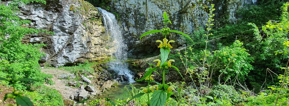 Wasserfall © TVB Puch