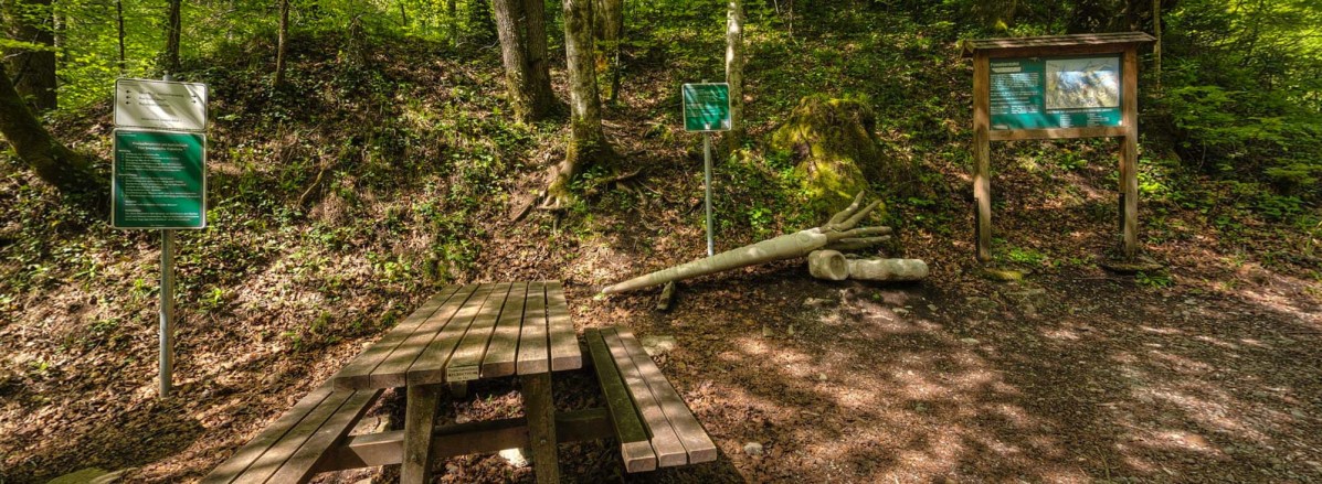 Glasenbachklamm © TVB Elsbethen 