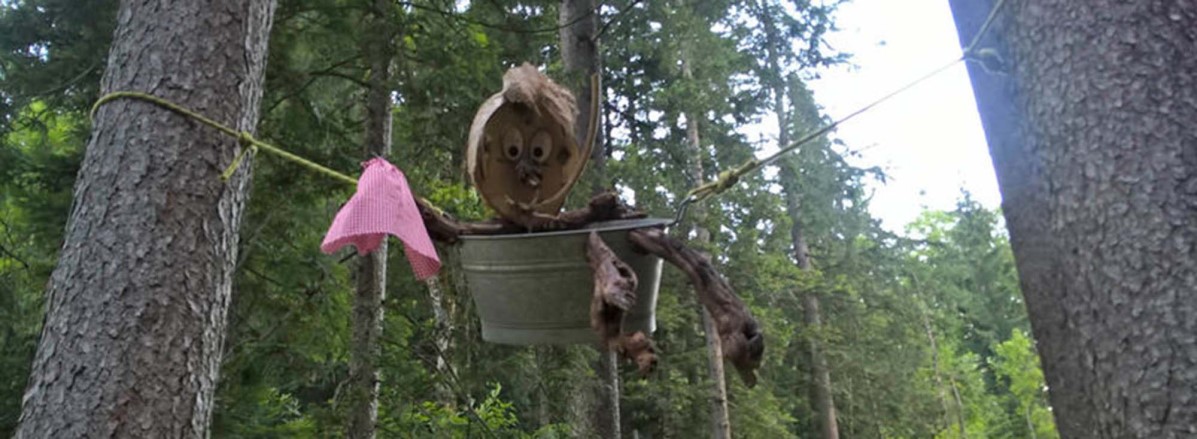 Geisterwald Russbach© TVB Russbach