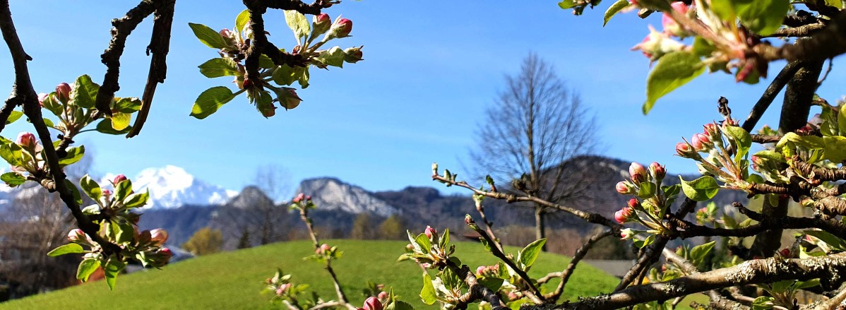 Frühling Barmsteine ©TVB Puch