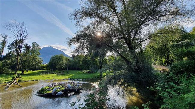 Ausflugstipp: Zoo Salzburg