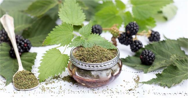 Nettle fruits: 4 recipes for your well-being