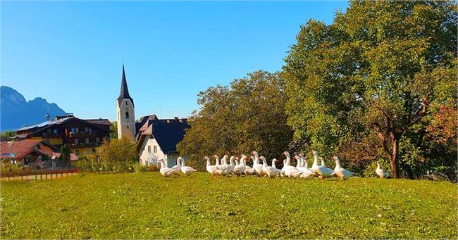 Genussvoller Wanderherbst in Puch