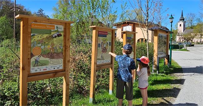 Agricultural theme trail in Puch