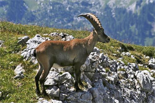 Nationalpark & Haus der Berge