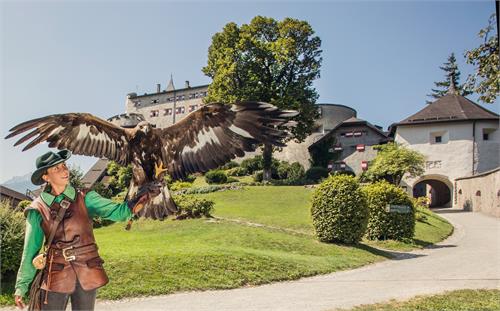 Hohenwerfen Slot