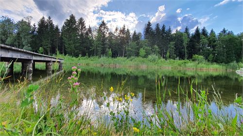 Wandern zur Freizeitanlage Puch | ©TVB Puch