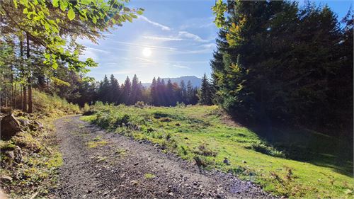 Wandern zur Schönalm mit Untersbergblick | ©TVB Puch