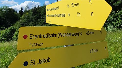 Beschilderung Wanderwege Puch | ©TVB Puch