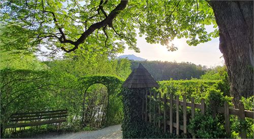 Ausblick vom Schlossturm St. Jakob | ©TVB Puch