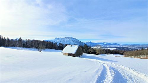 Hochstadl mit Untersberg im Hintergrund | ©TVB Puch