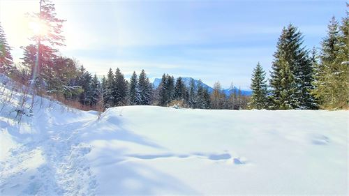 Winterwandern in St. Jakob am Thurn | ©TVB Puch