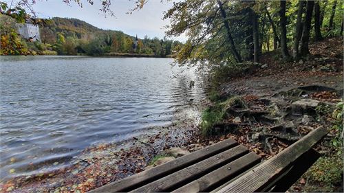 Logenplatz am Weiher in St. Jakob am Thurn | ©TVB Puch