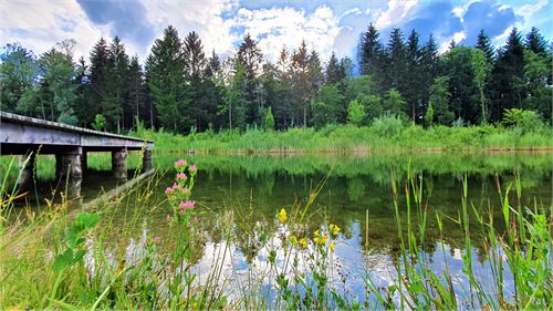 Freizeitanlage in Puch  | ©TVB Puch