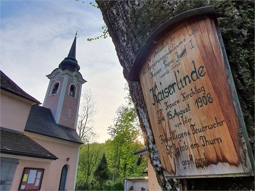 Alte Kaiserlinde vor der Wallfahrtskirche St. Jakob am Thurn | ©TVB Puch