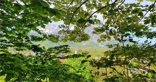 Wandern in Puch - Pfarrkirche Puch