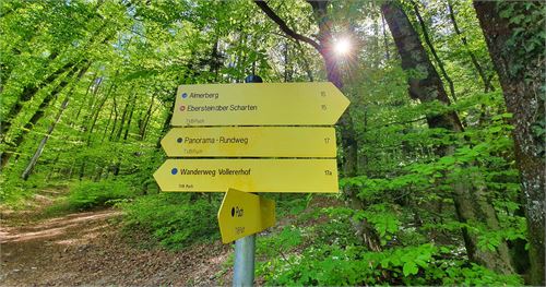 Wandern in Puch