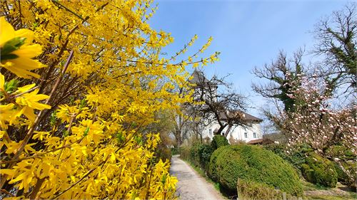 Schlossturm St. Jakob am Thurn