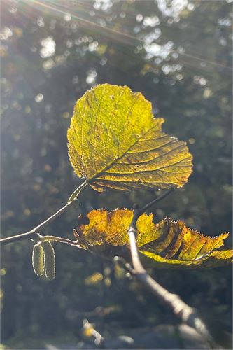 Herbstzeit