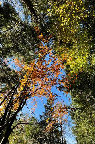 Herbstzeit