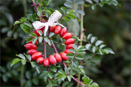 Herbstdeko