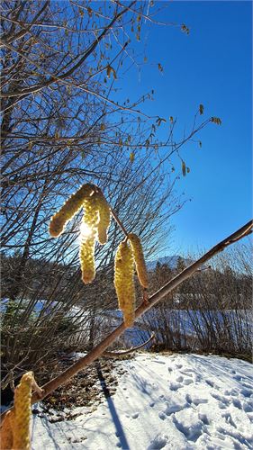 Februar in Puch