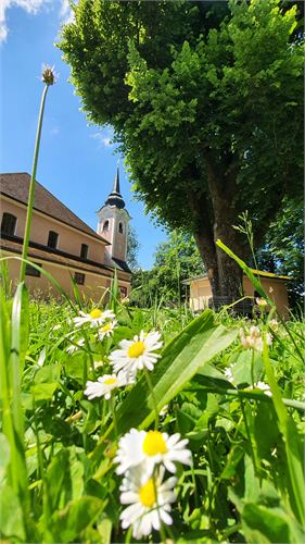 Puch bei Salzburg im Juni