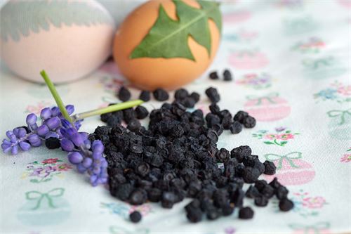 Ostereier färben mit Heidelbeeren