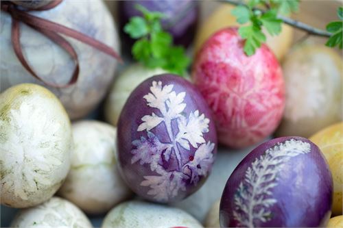 Ostereier färben mit Heidelbeeren