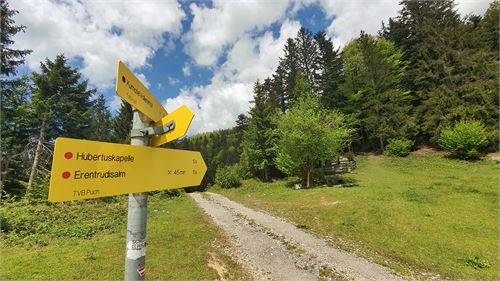 Tennengauer Wanderpass Puch - Schönalm