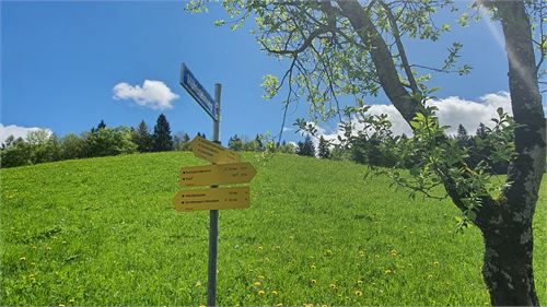 Tennengauer Wanderpass Puch - Wiestalrundweg