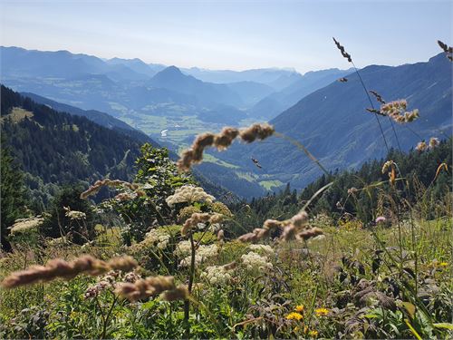 Tennengauer Wanderpass - Wanderweg Kuchl