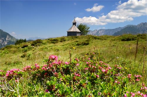 Wandern auf der Postalm in Abtenau