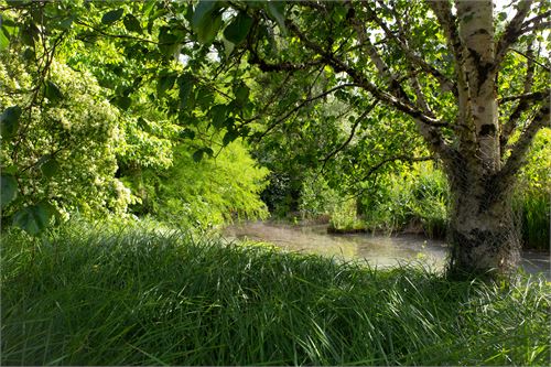 Botanischer Garten Salzburg - Wasserbereiche