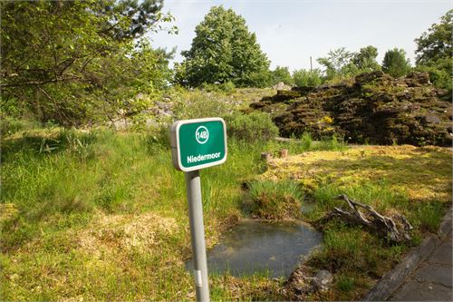 Botanischer Garten Salzburg - Niedermoor