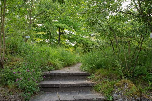 Botanischer Garten Salzburg 