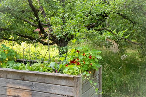 Botanischer Garten Salzburg